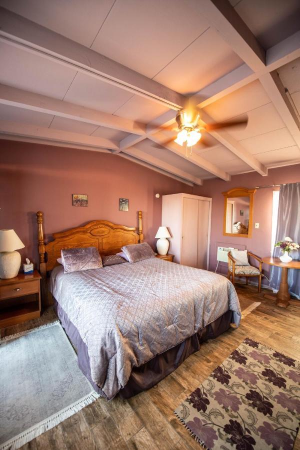 Harmony Motel トウェンティナイン・パームズ エクステリア 写真